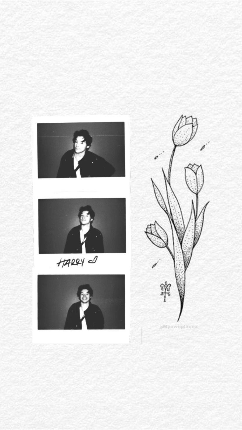 828x1472 She