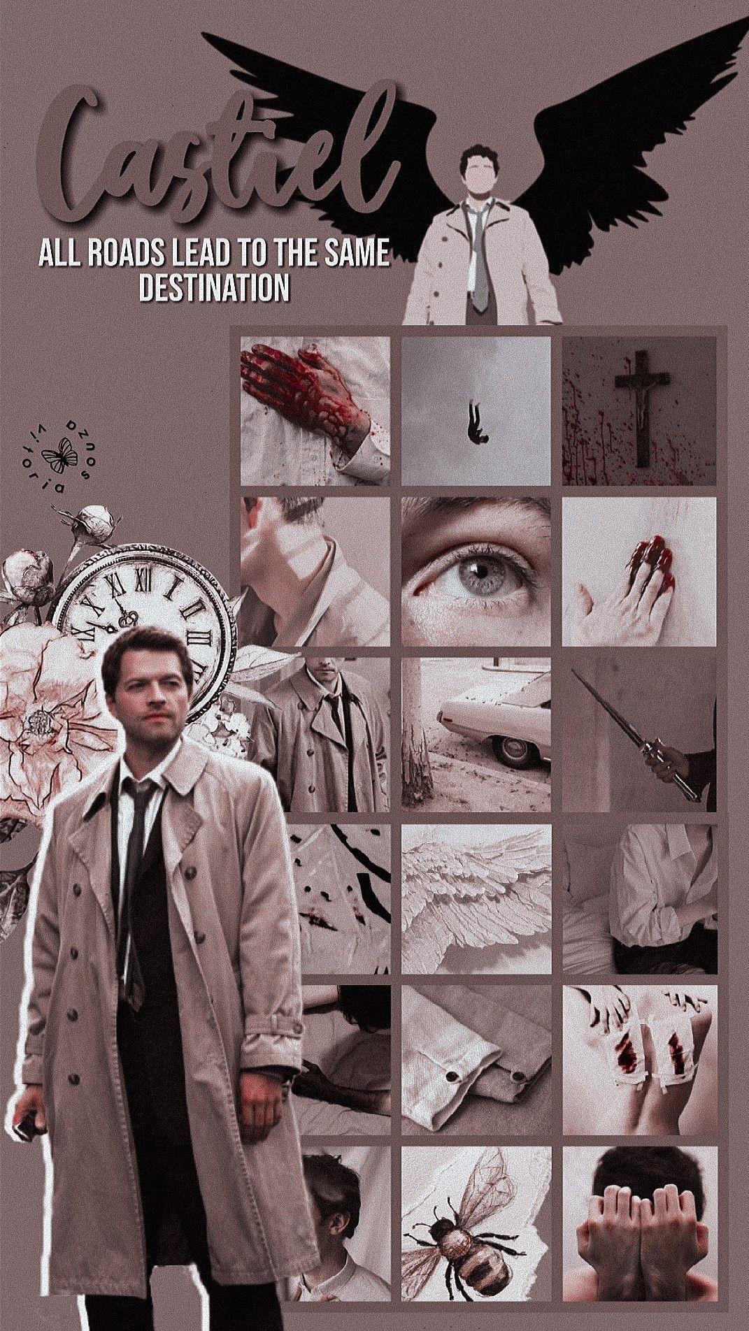 Aesthetic Cas Sticker for Sale by serenabritin  Redbubble