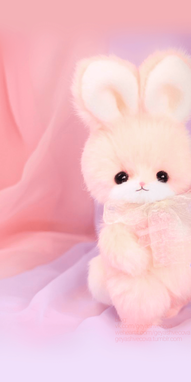 640x1280 Accessories, Animals, And Baby Image