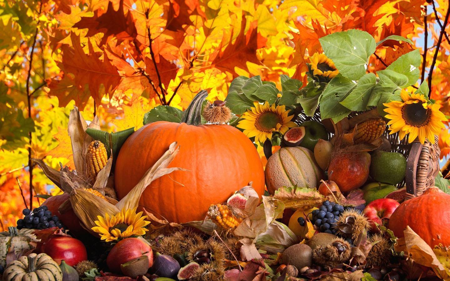 1440x900 Thanksgiving Day Wallpaperwallpaper.dog