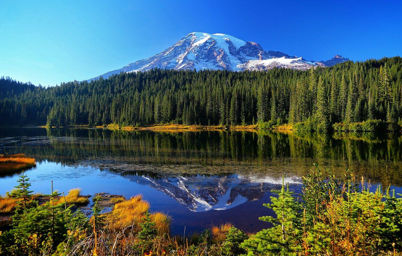 1332x850 Wallpaper autumn, forest, water, trees .