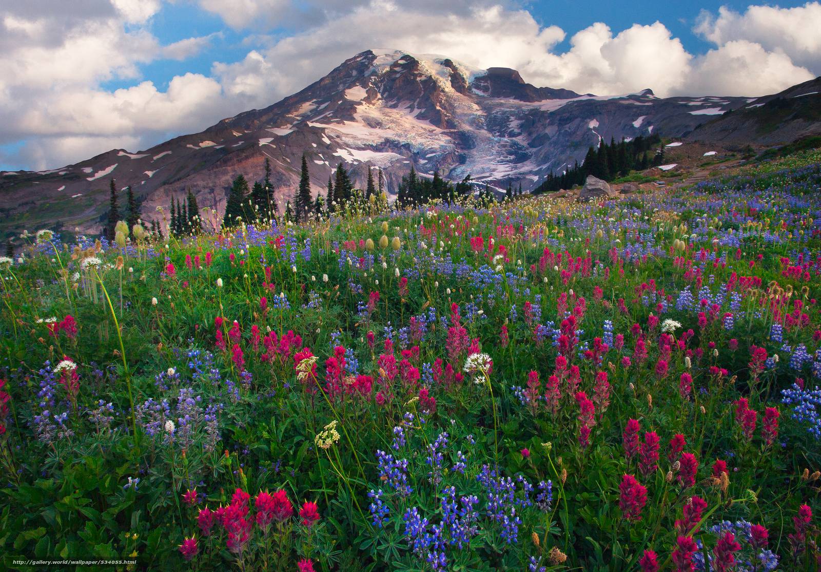 1600x1114 Mount Rainier National Park, Nisqually .itl.cat