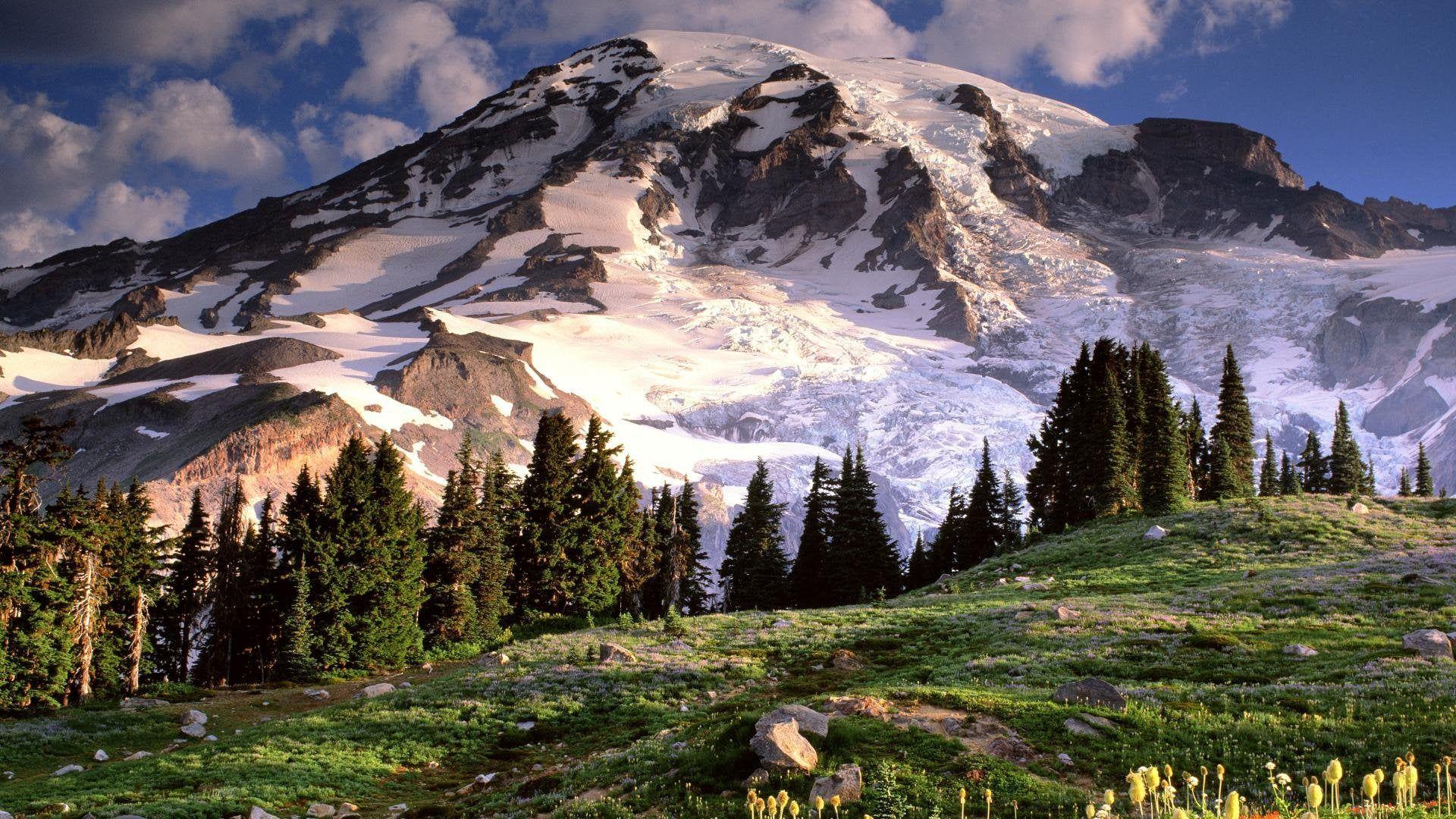 Mount Rainier 4K Wallpapers Top Free Mount Rainier 4K Backgrounds