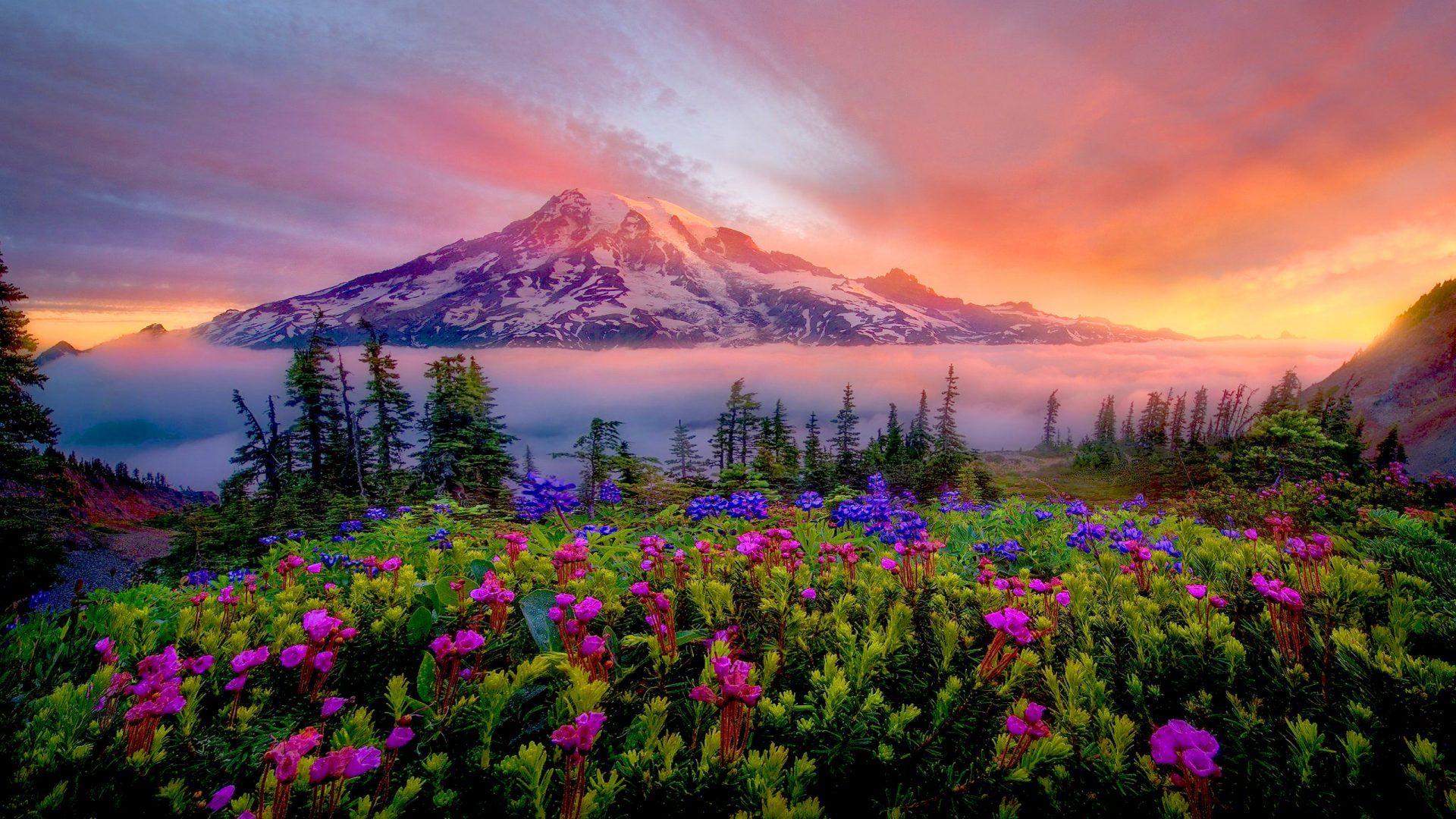 1920x1080 Sunrise Spring Landscape Of Snow .