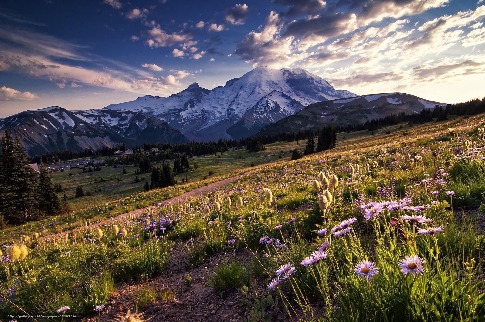 1600x1063 Mount Rainier National Park Wallpaper .