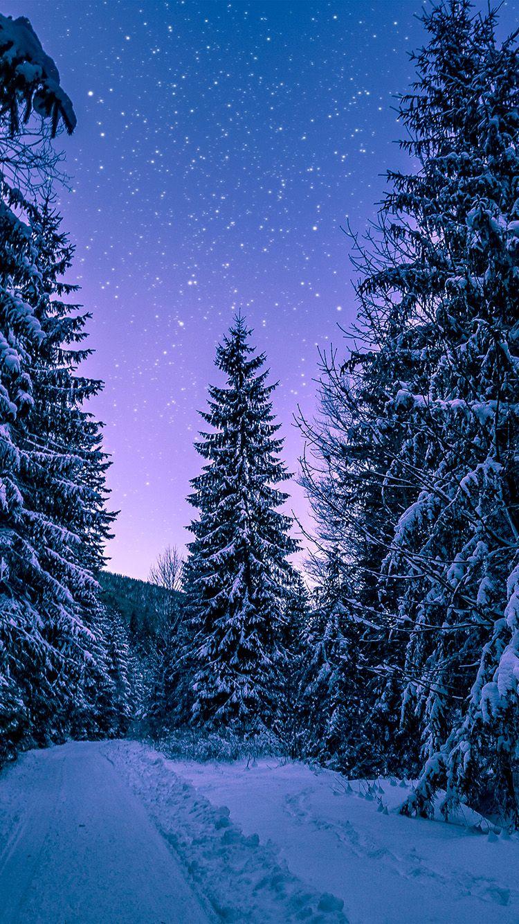 750x1334 Phone Wallpaper Snow
