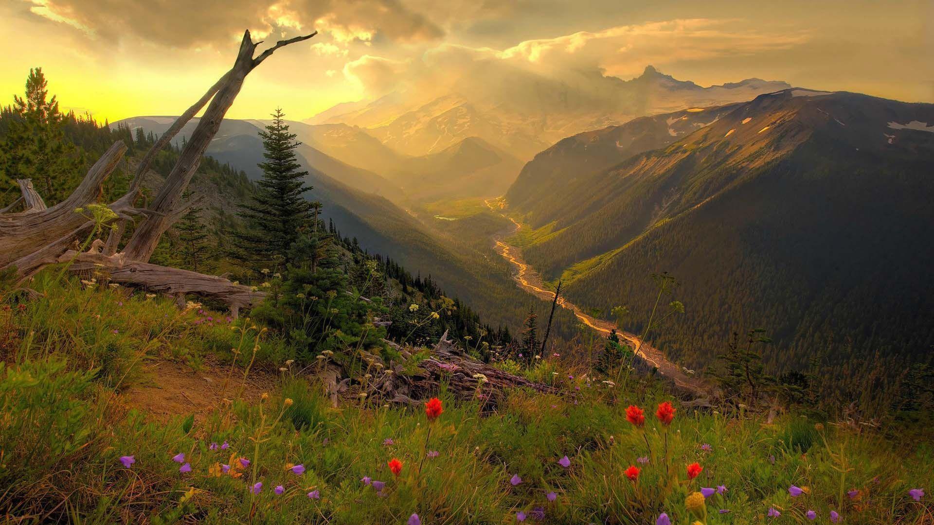 1920x1080 Mount Rainier National Park 010. HD .