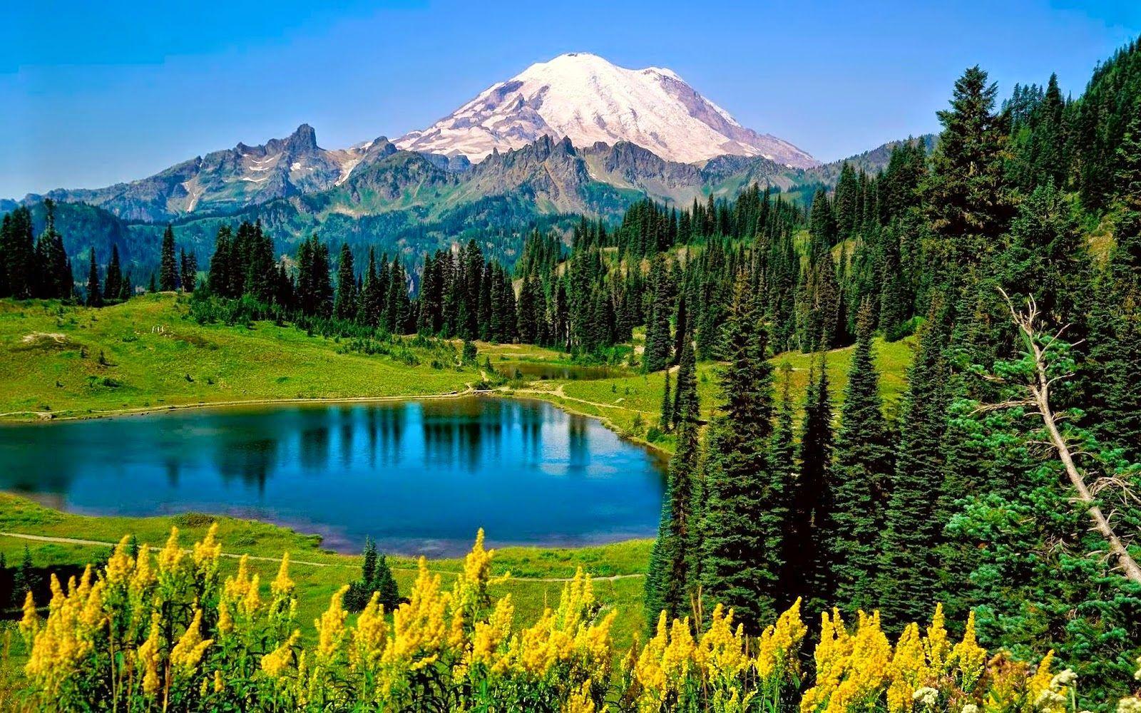1600x1000 Mount Rainier National Park .