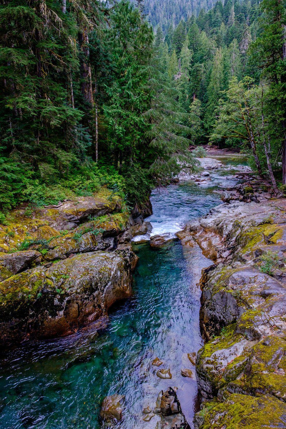1000x1500 Mount Rainier National Park
