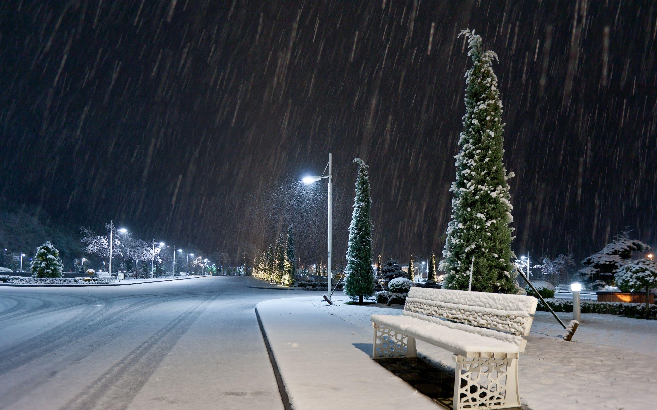 2560x1600 Winter Night Wallpaper Group Wallpaper
