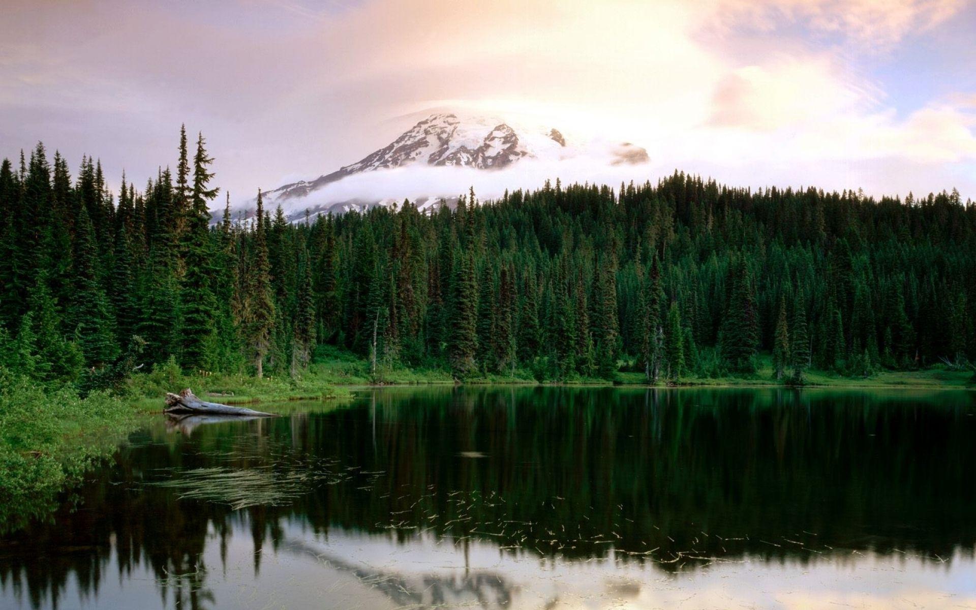 1920x1200 Mount Rainier National Park wallpaper .