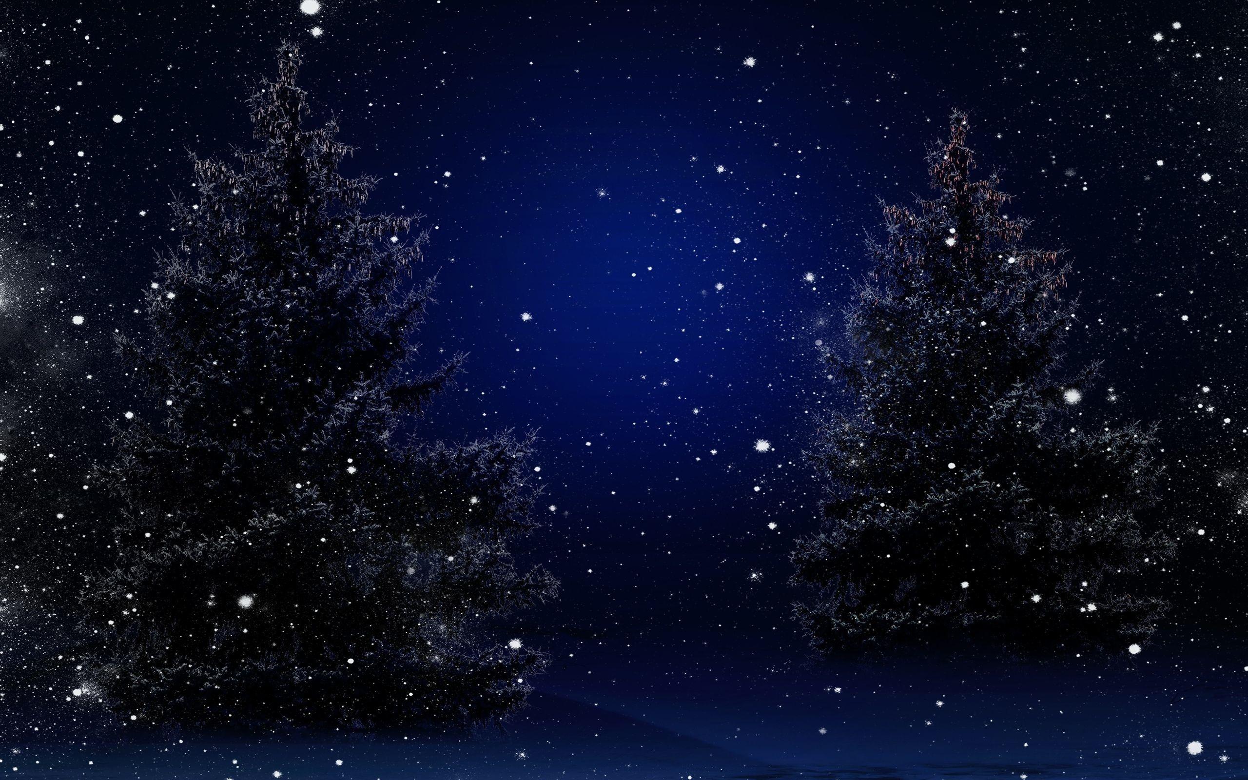 2560x1600 Winter Night Wallpaper background .