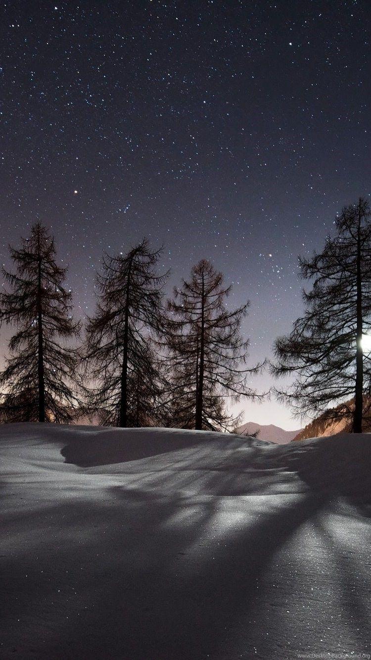750x1334 Trees Snow Night Winter