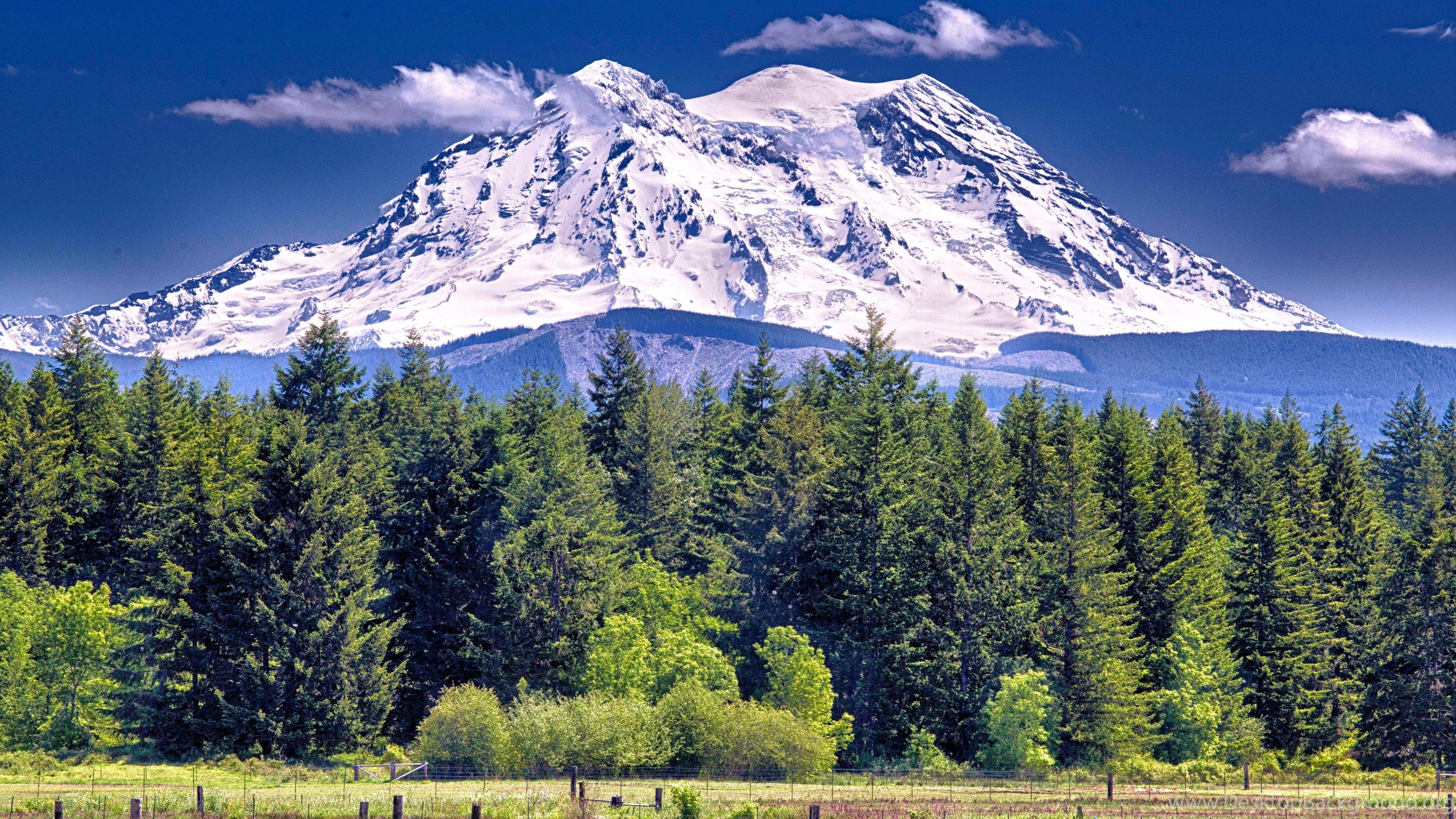 3840x2160 Daniel Bruno: Mt Rainier High Quality .