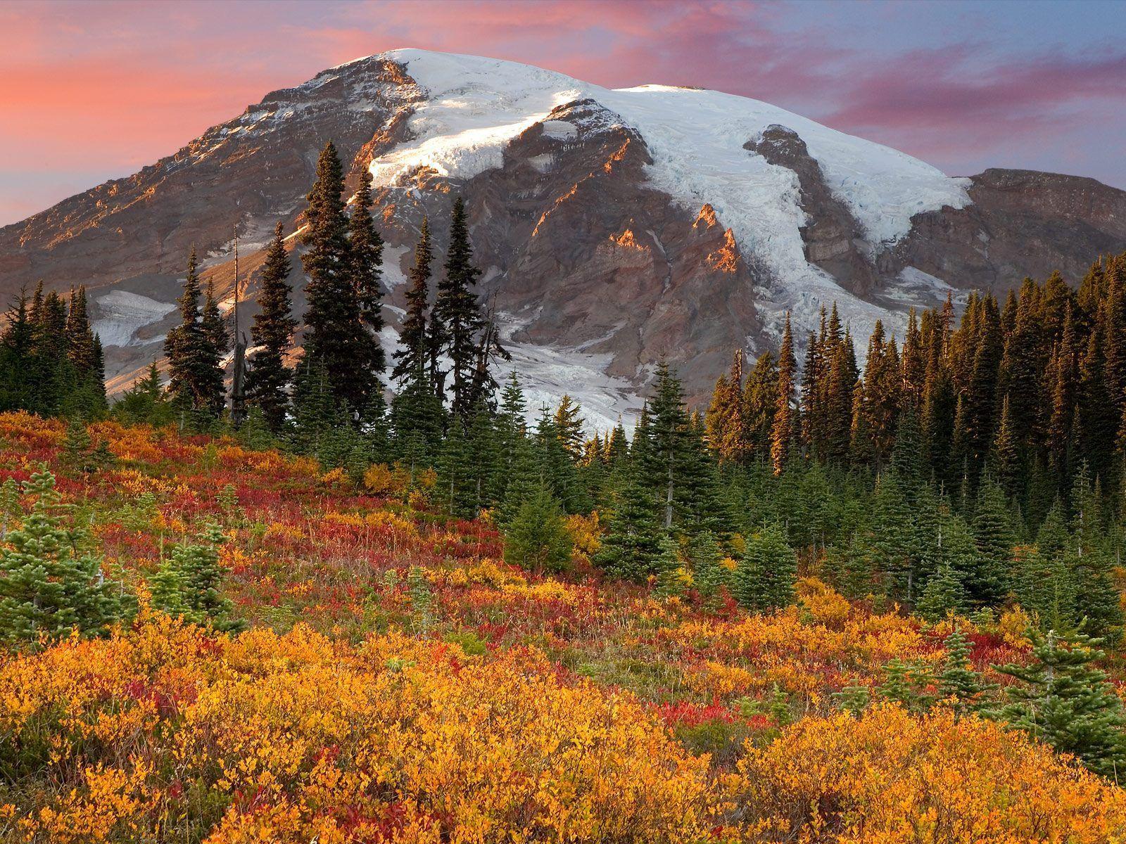 1600x1200 Paradise, Mount Rainier National Park .