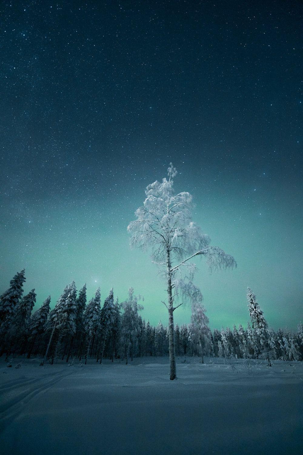 1000x1500 Best Snow Night Picture HD .com