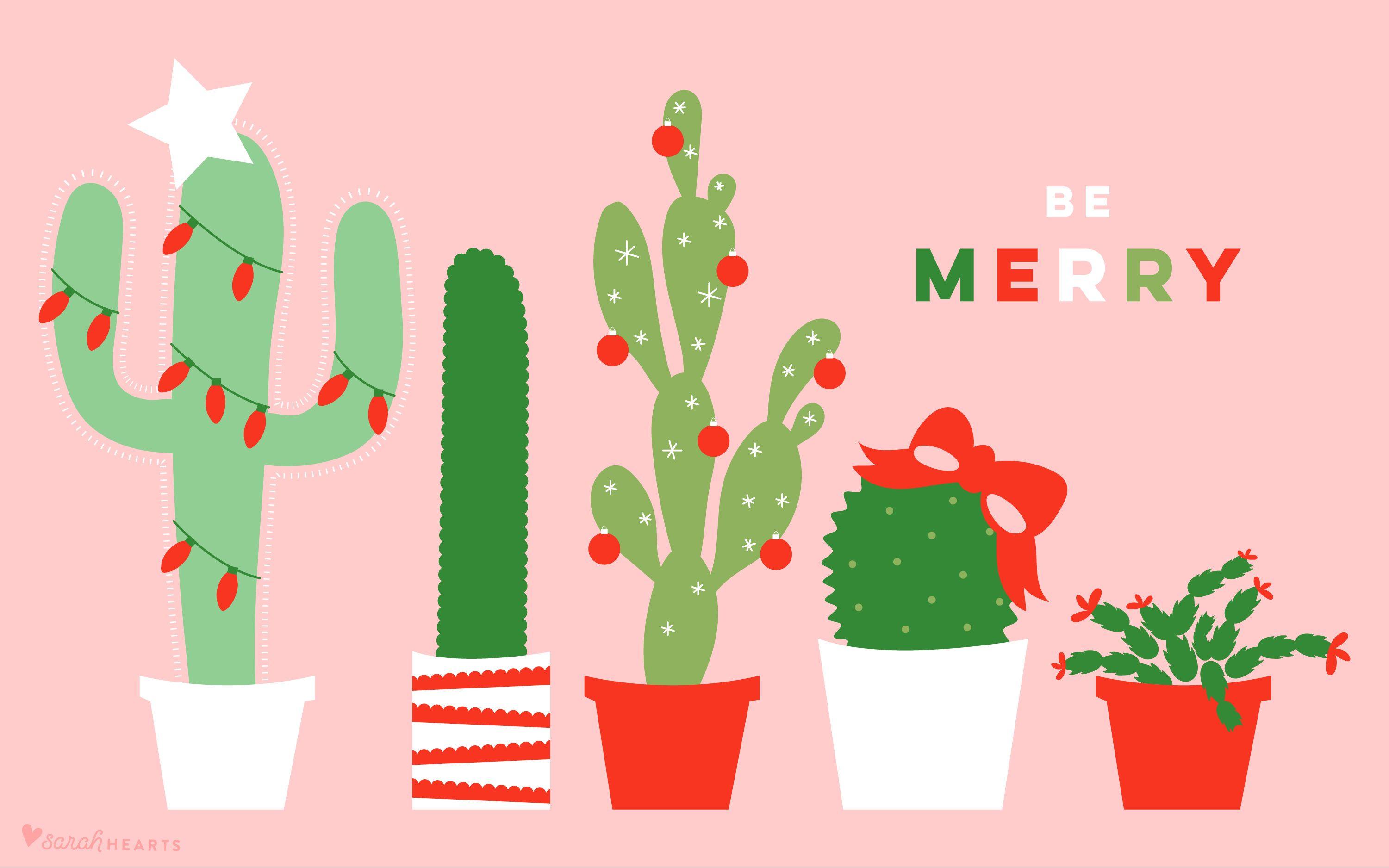 3001x1876 December 2017 Christmas Cactus Calendar .