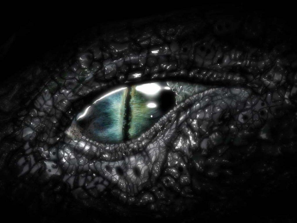 1024x768 Free download Dragon Eye Picture All Wallpaper New [1024x768] for your Desktop, Mobile & Tablet. Explore Dragon Eye Wallpaper. HD Dragon Wallpaper, Dragon Wallpaper Free Download, Eye Wallpaper HD