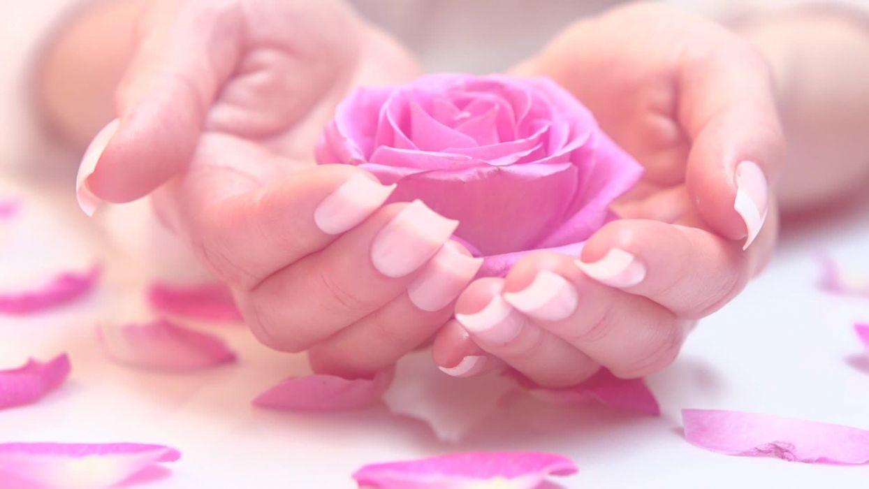 1244x700 Pink Wallpaper