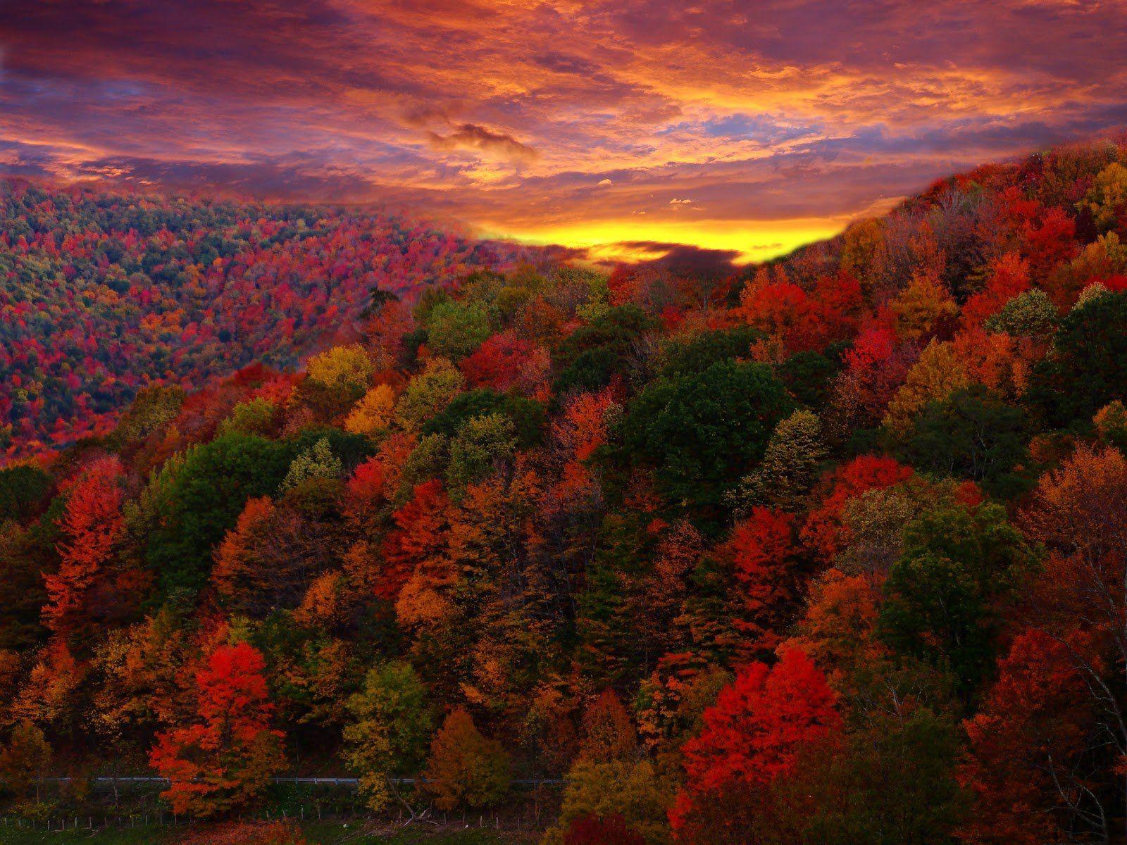 1600x1200 Free Mountain Autumn Wallpaper