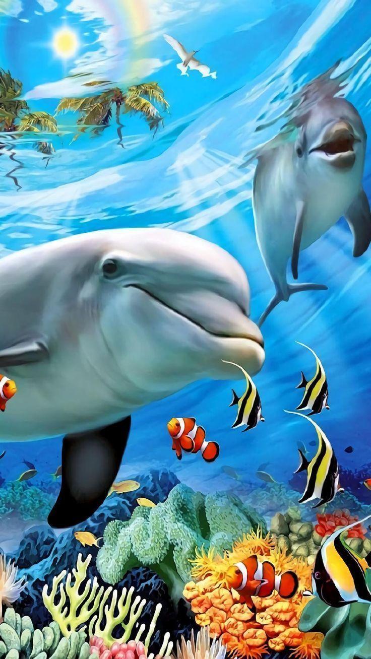 736x1308 Beautiful sea creatures, Dolphin art .com