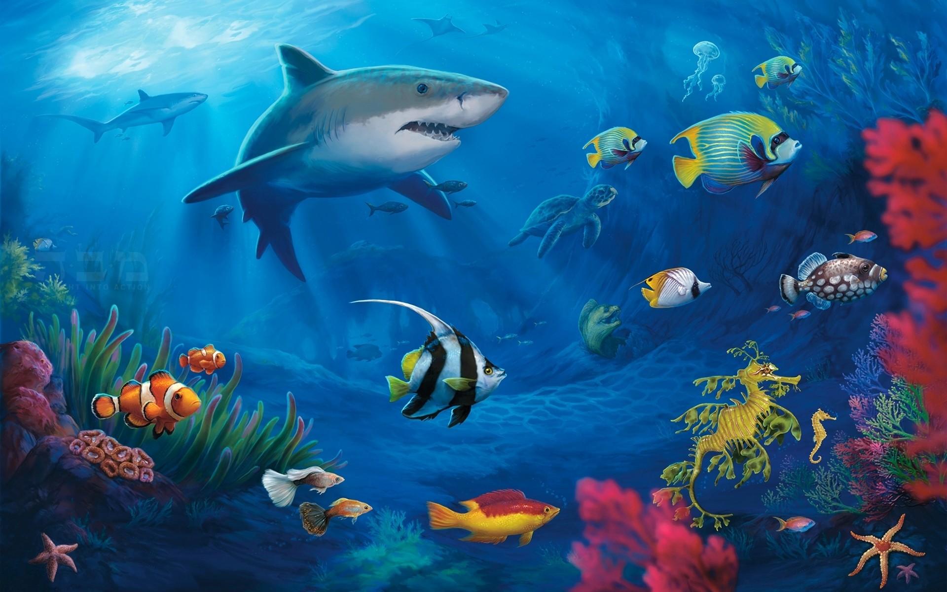 1920x1200 Ocean Animals Wallpaper -