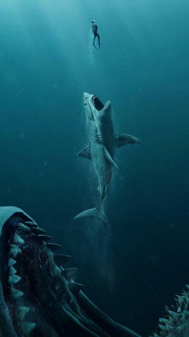 750x1333 Ocean wallpaper .com