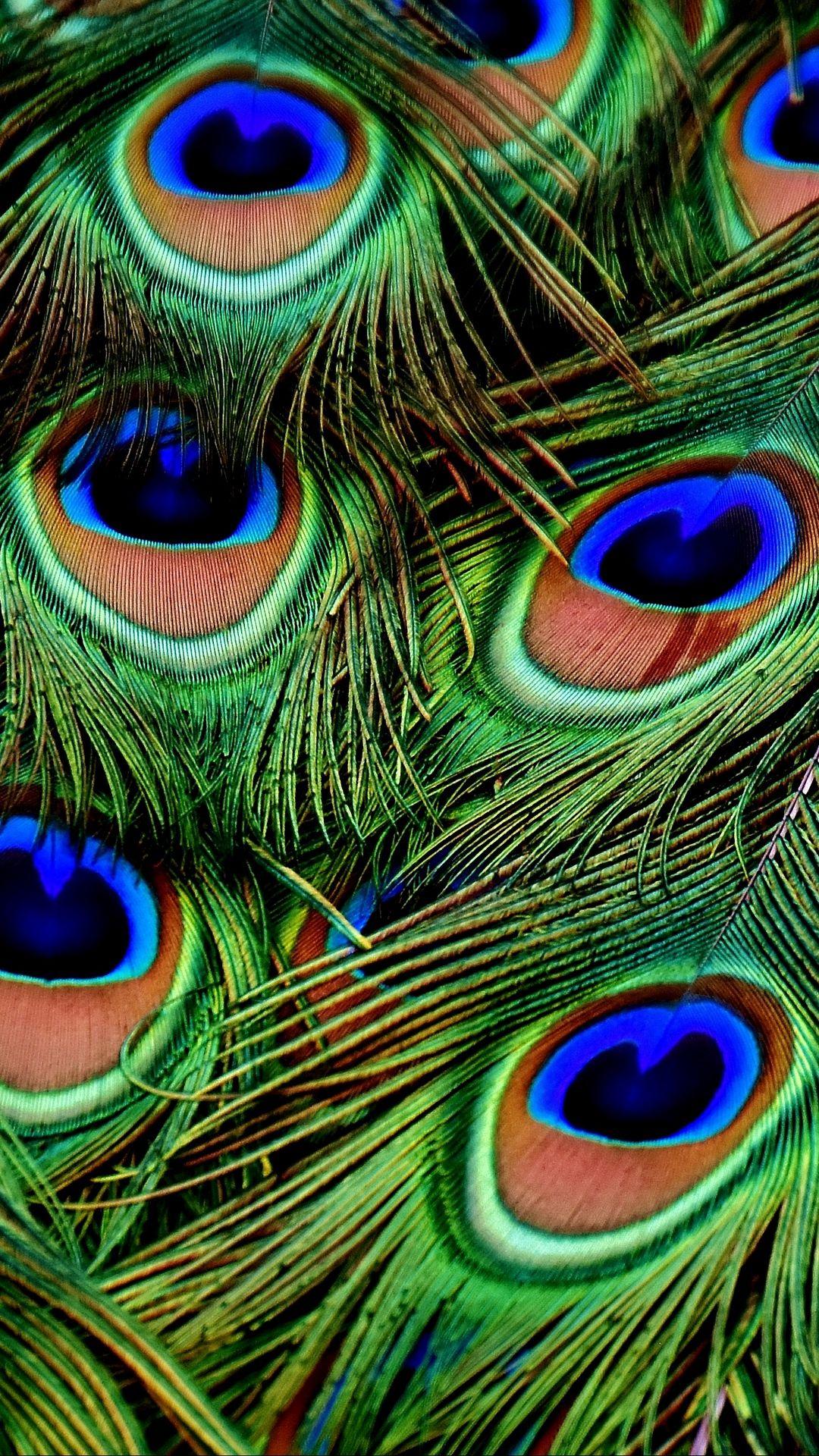 1080x1920 Feather Wallpaper HD