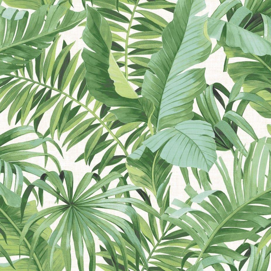 927x927 Green Tropical Leaf Palm Tree Wallpaper .ebay.com · In stock