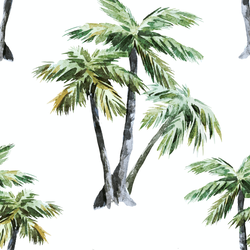 Tropical Trees Wallpapers - Top Free Tropical Trees Backgrounds