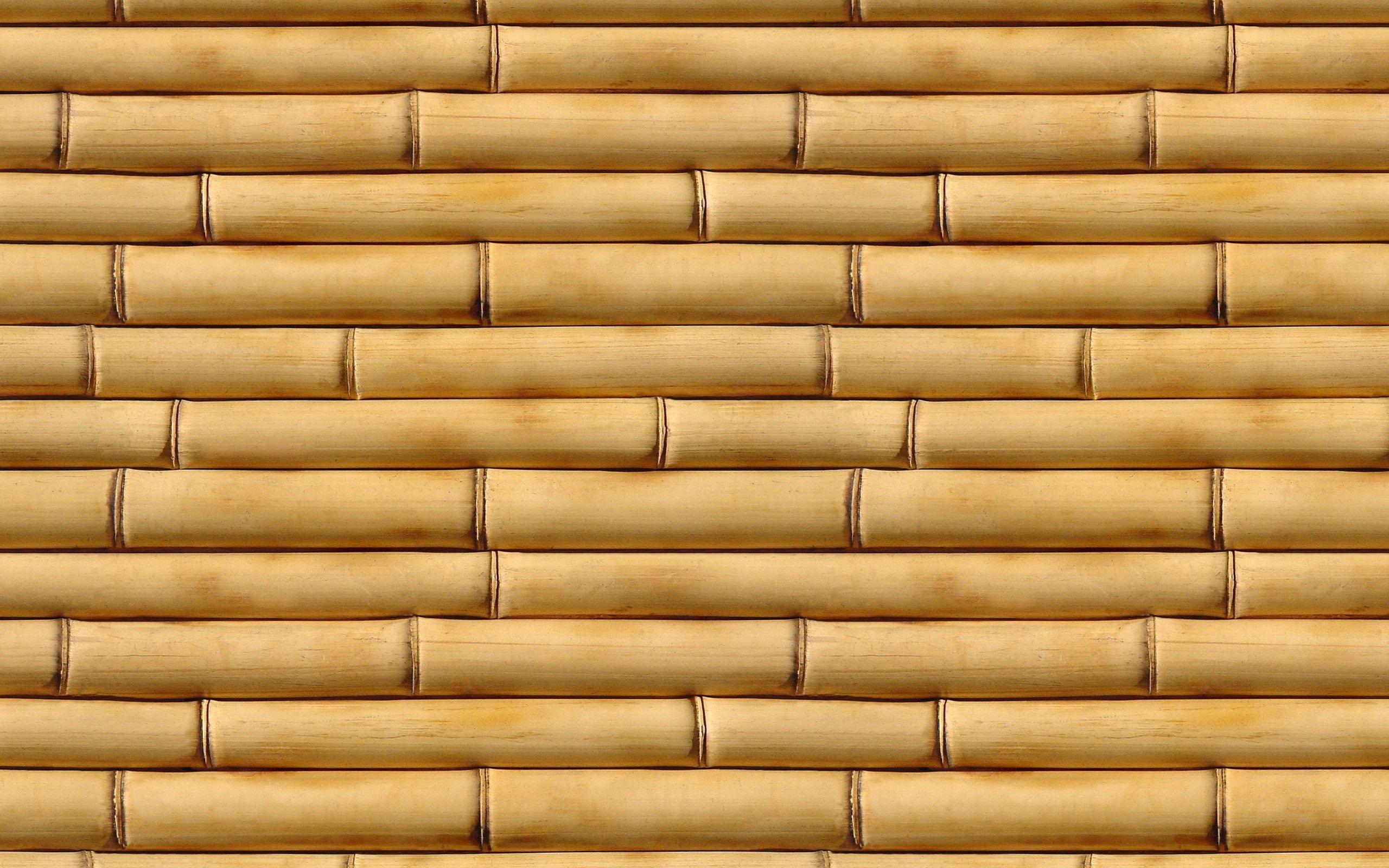 2560x1600 Bamboo Background Wallpaper Brown .at