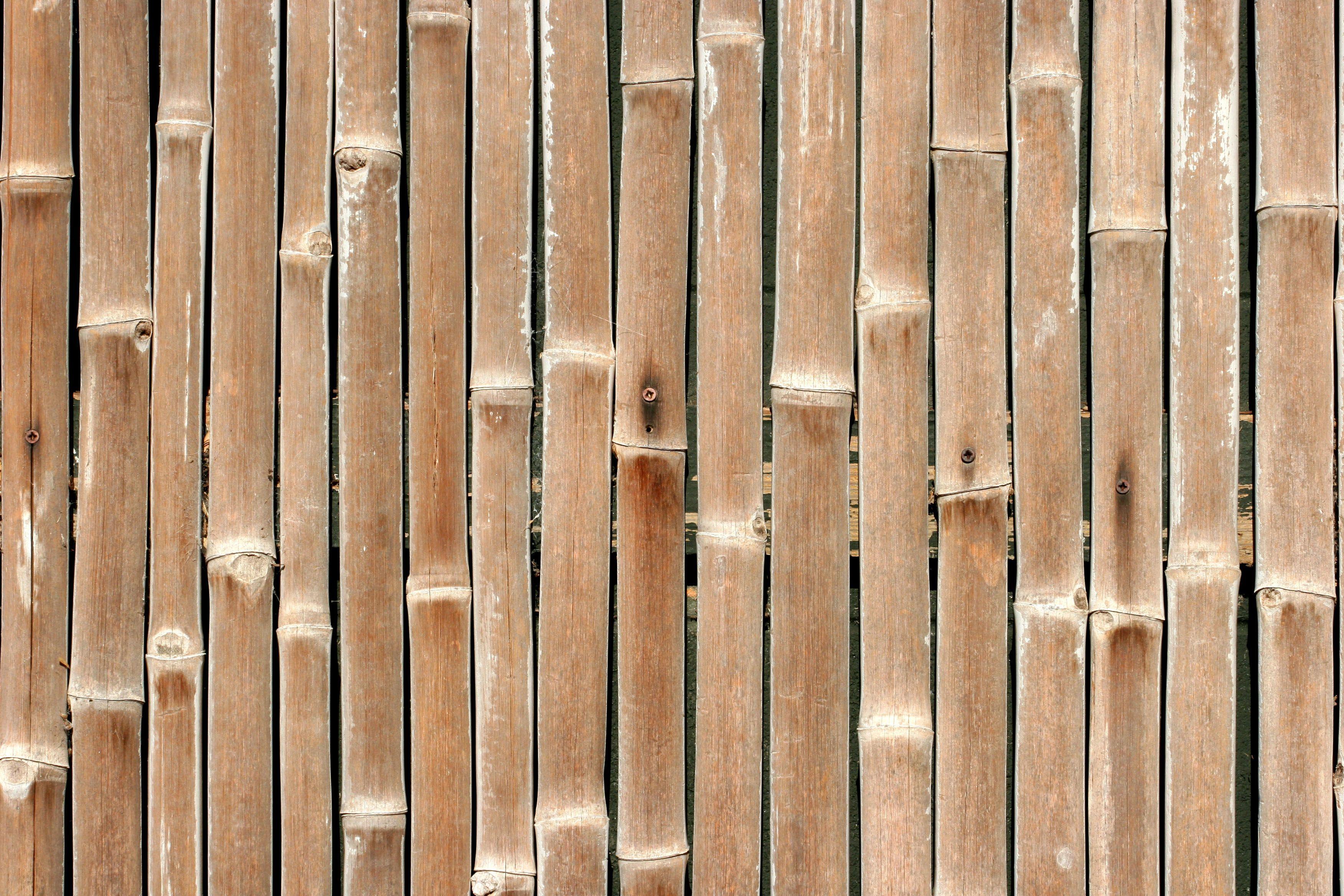 3504x2336 Bamboo texture .com