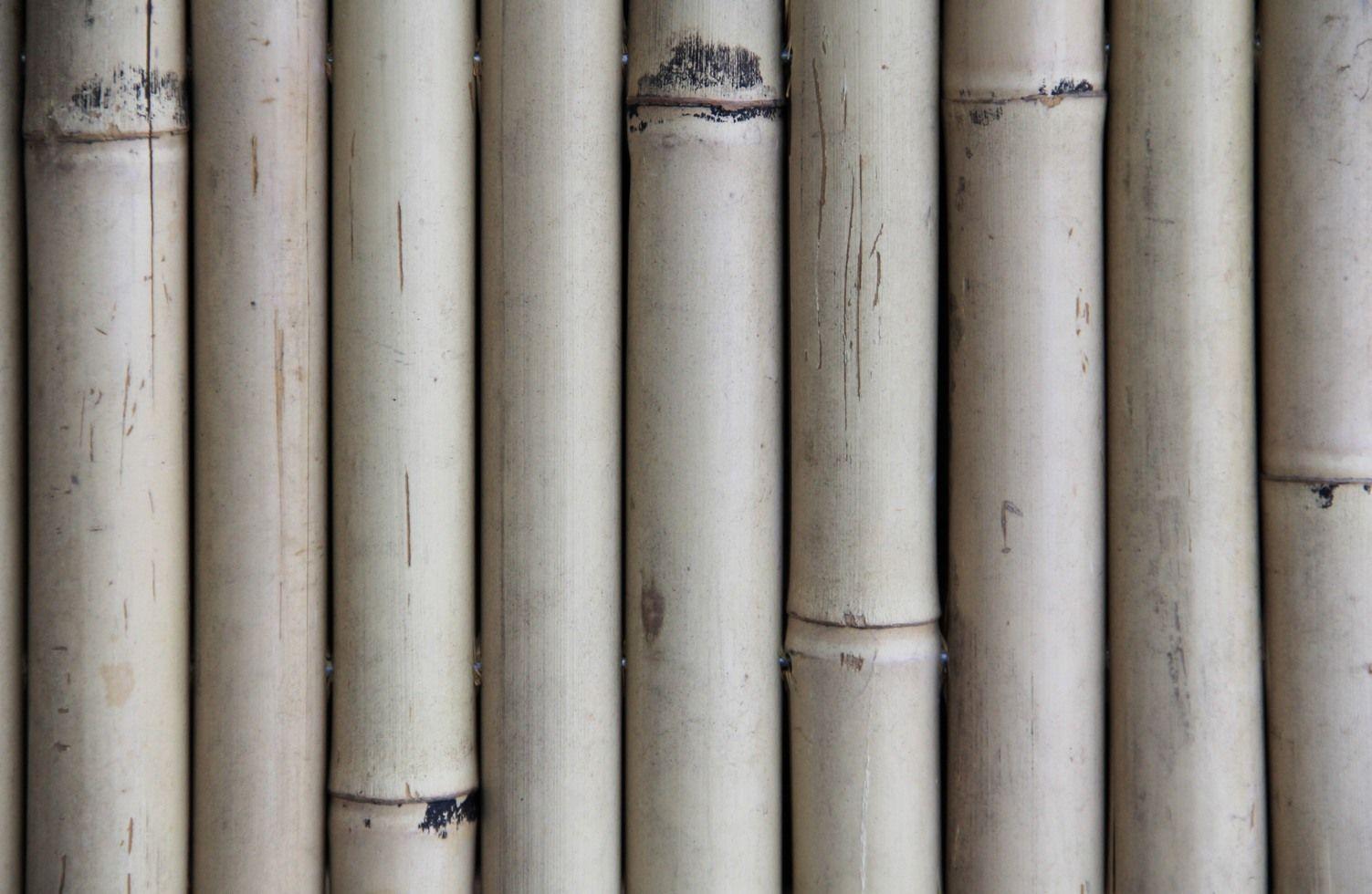 1503x980 Bamboo Wood Texture Natural Shaft .mywholewall.com · In stock