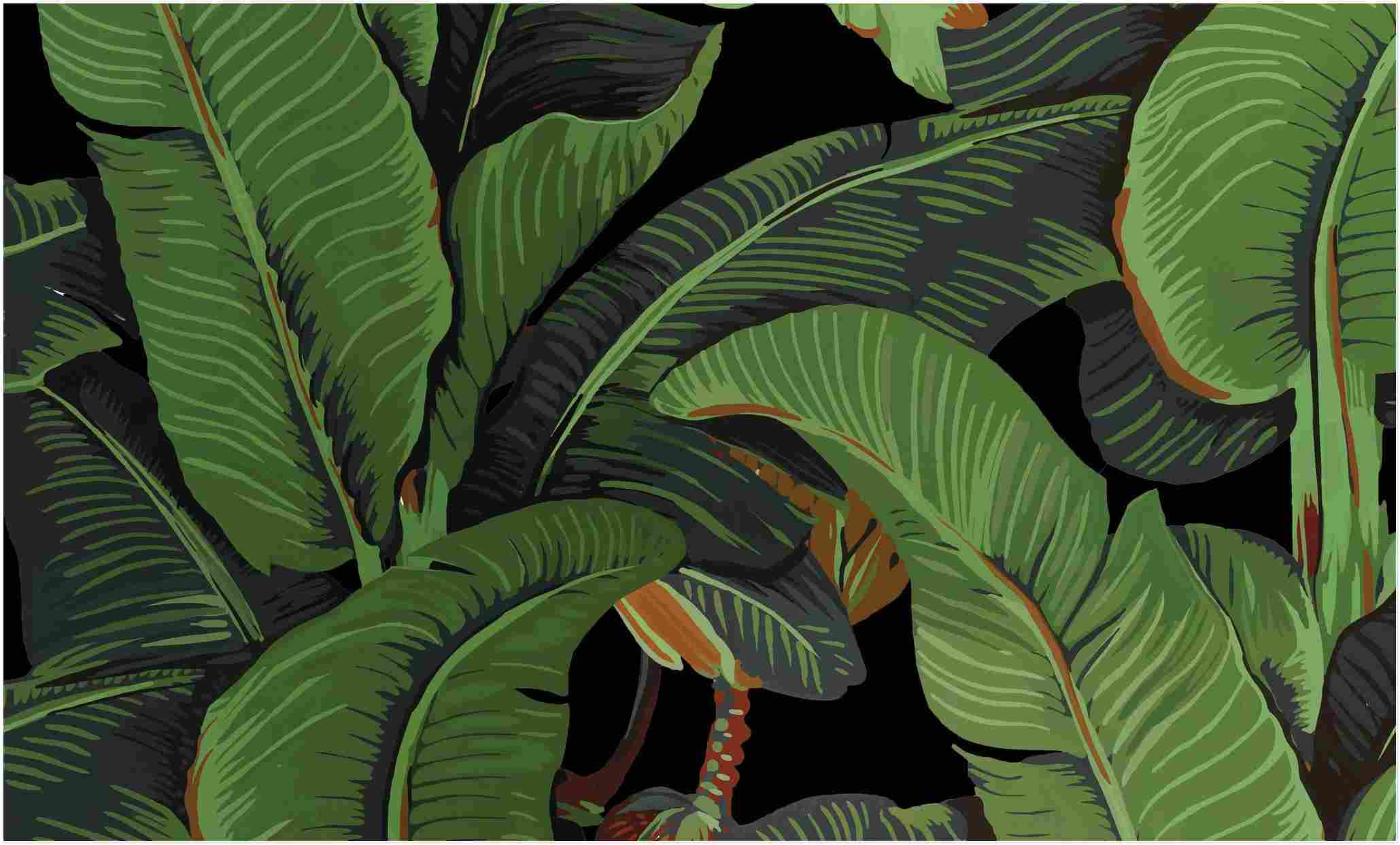 Banana 4K Wallpapers - Top Free Banana 4K Backgrounds - WallpaperAccess