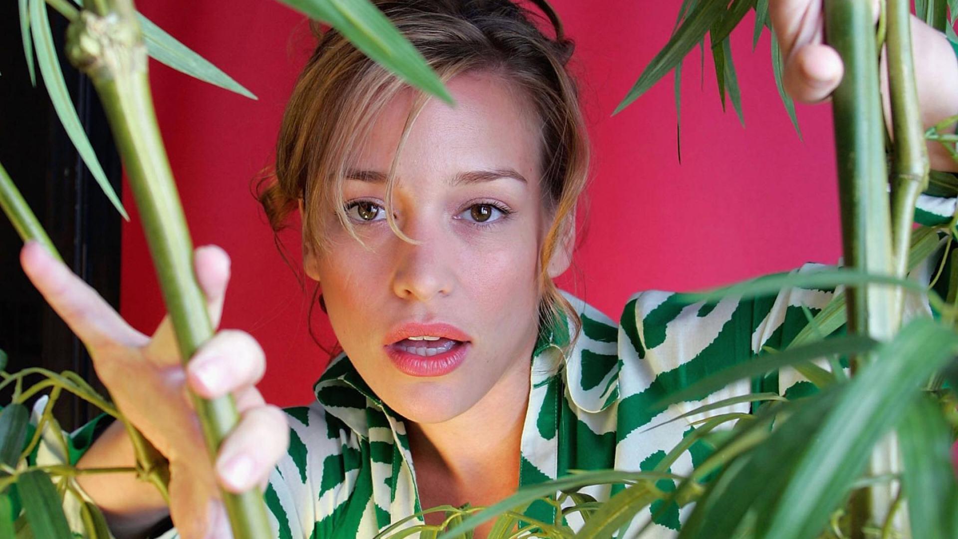 Piper Perabo Wallpapers - Top Free Piper Perabo Backgrounds