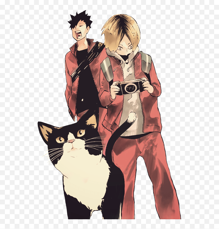 900x941 Haikyuu Cat Png Image And Kuroo .