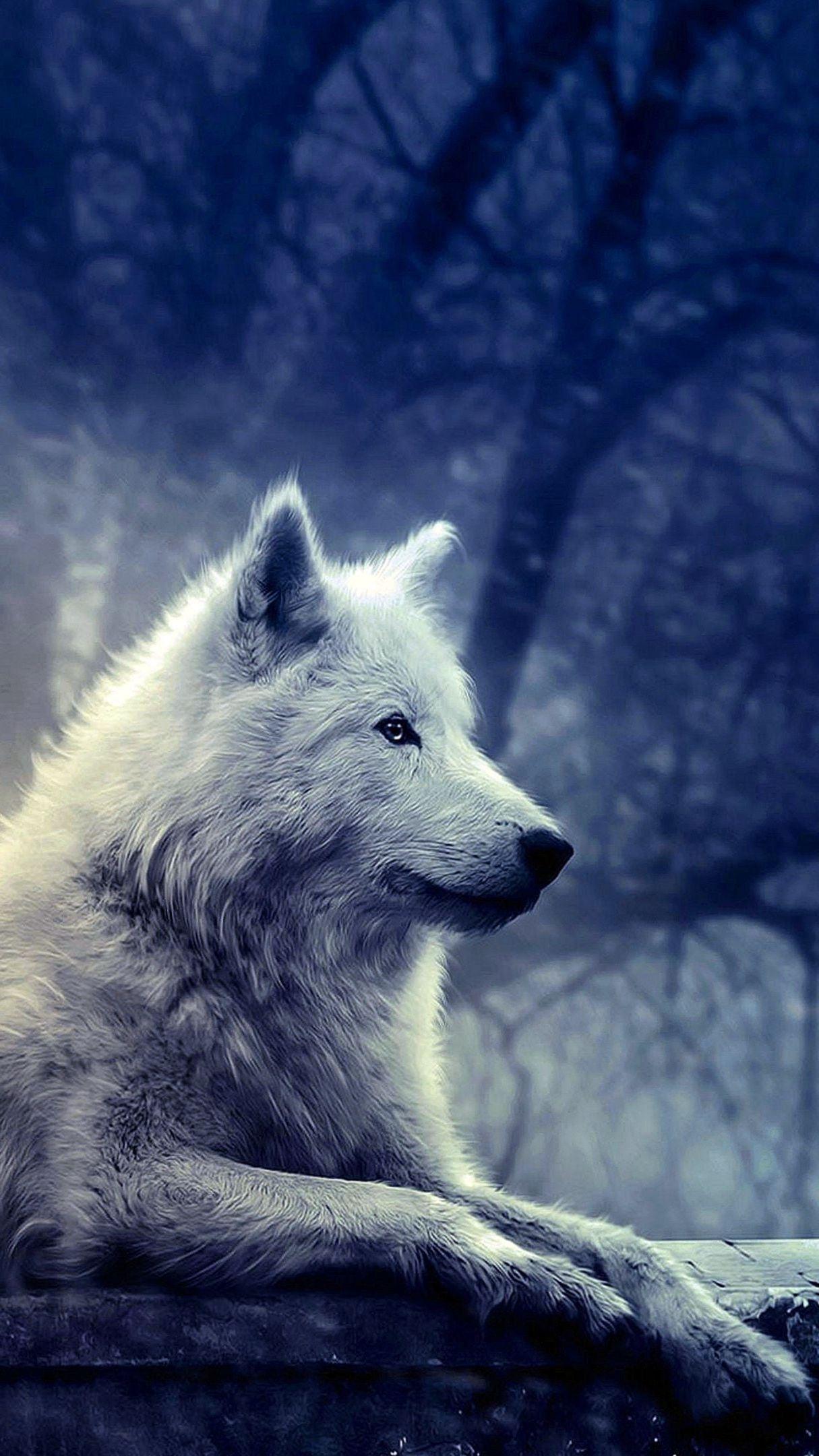 1215x2161 White Wolf Wallpaper .