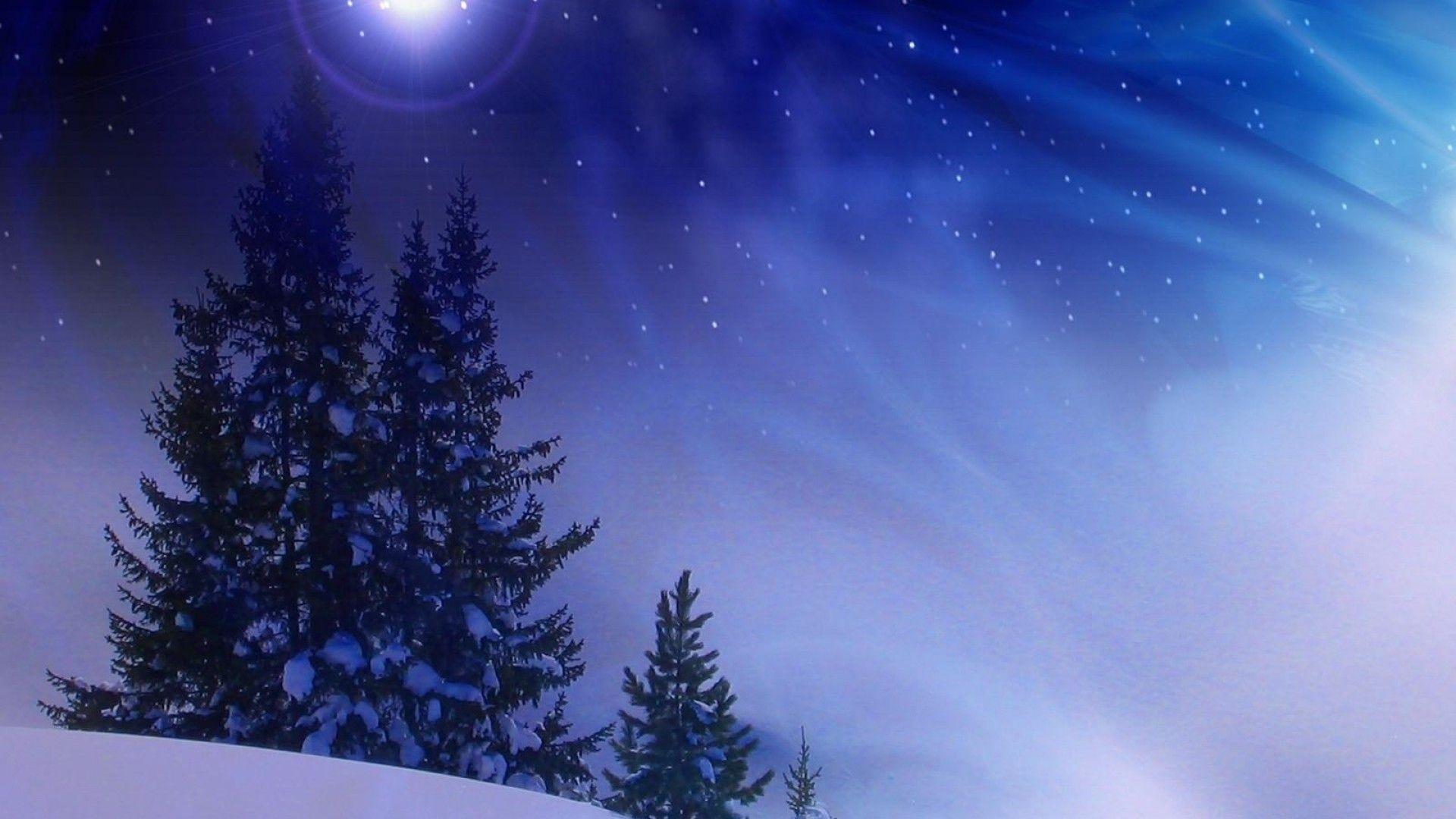1920x1080 Preview Wallpaper Christmas Trees, Snow .