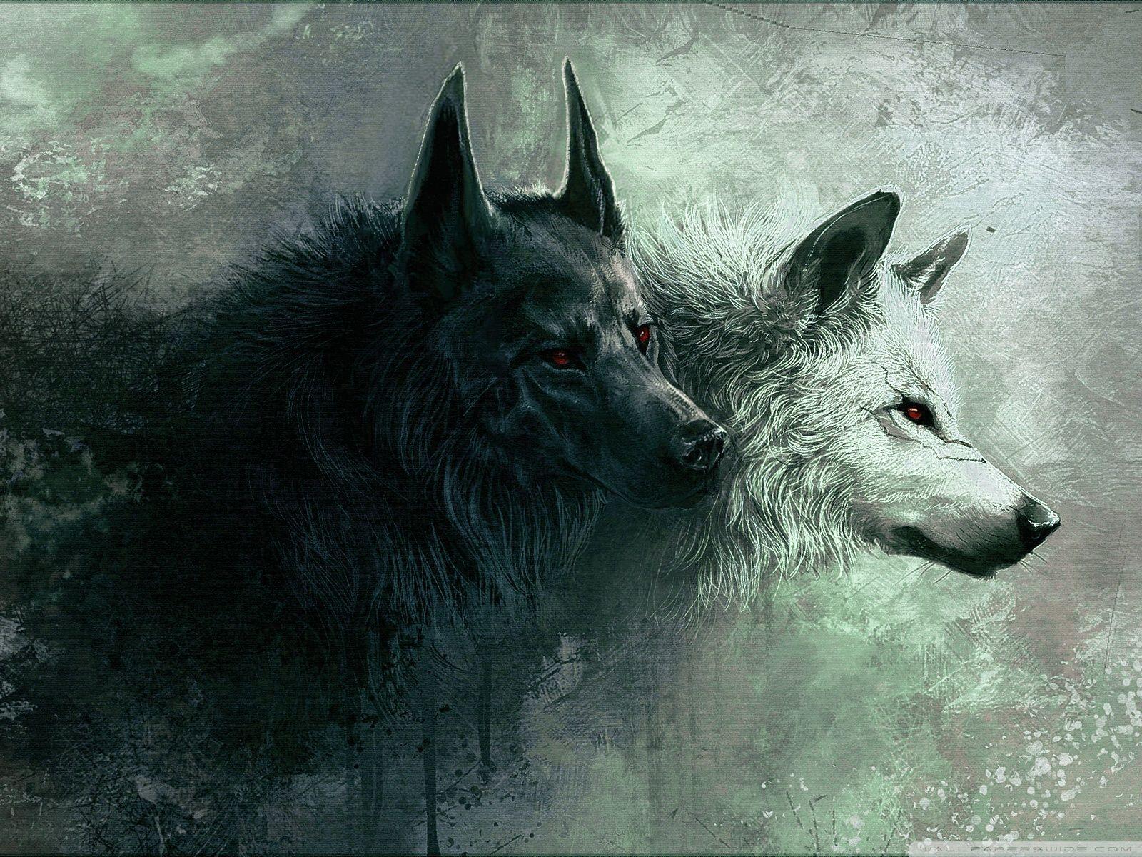 1600x1200 Wolf Wallpaper 4k Wallpaper .