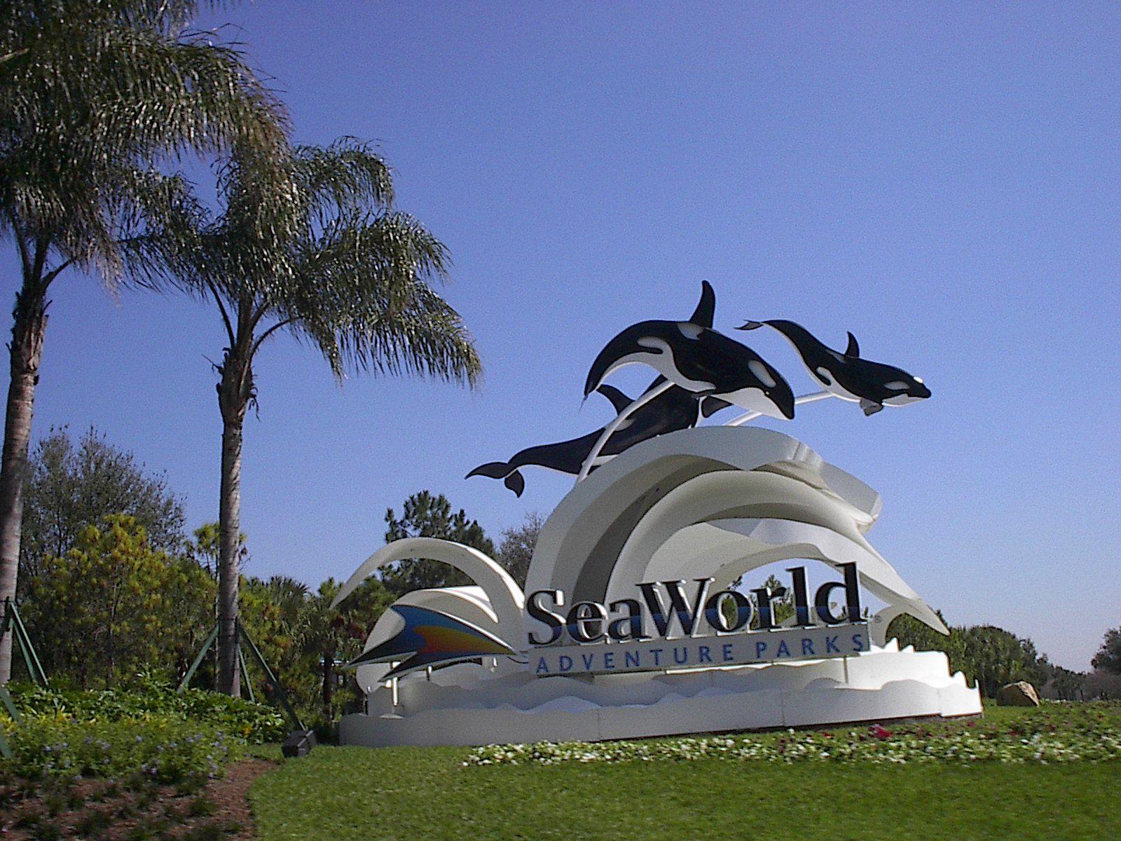1600x1200 Sea World Wallpaper