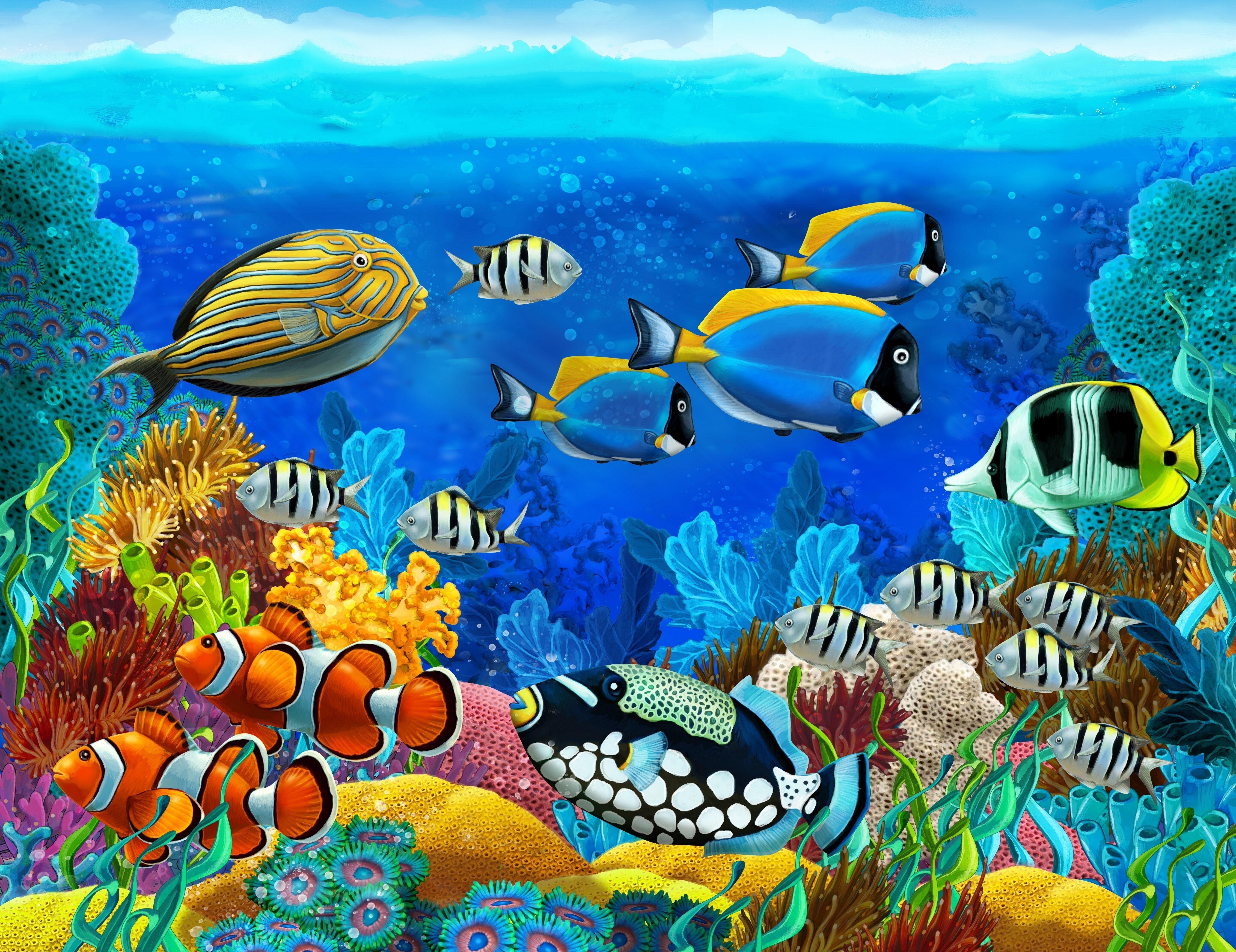 7000x5393 Underwater world Wallpaper Picture .com