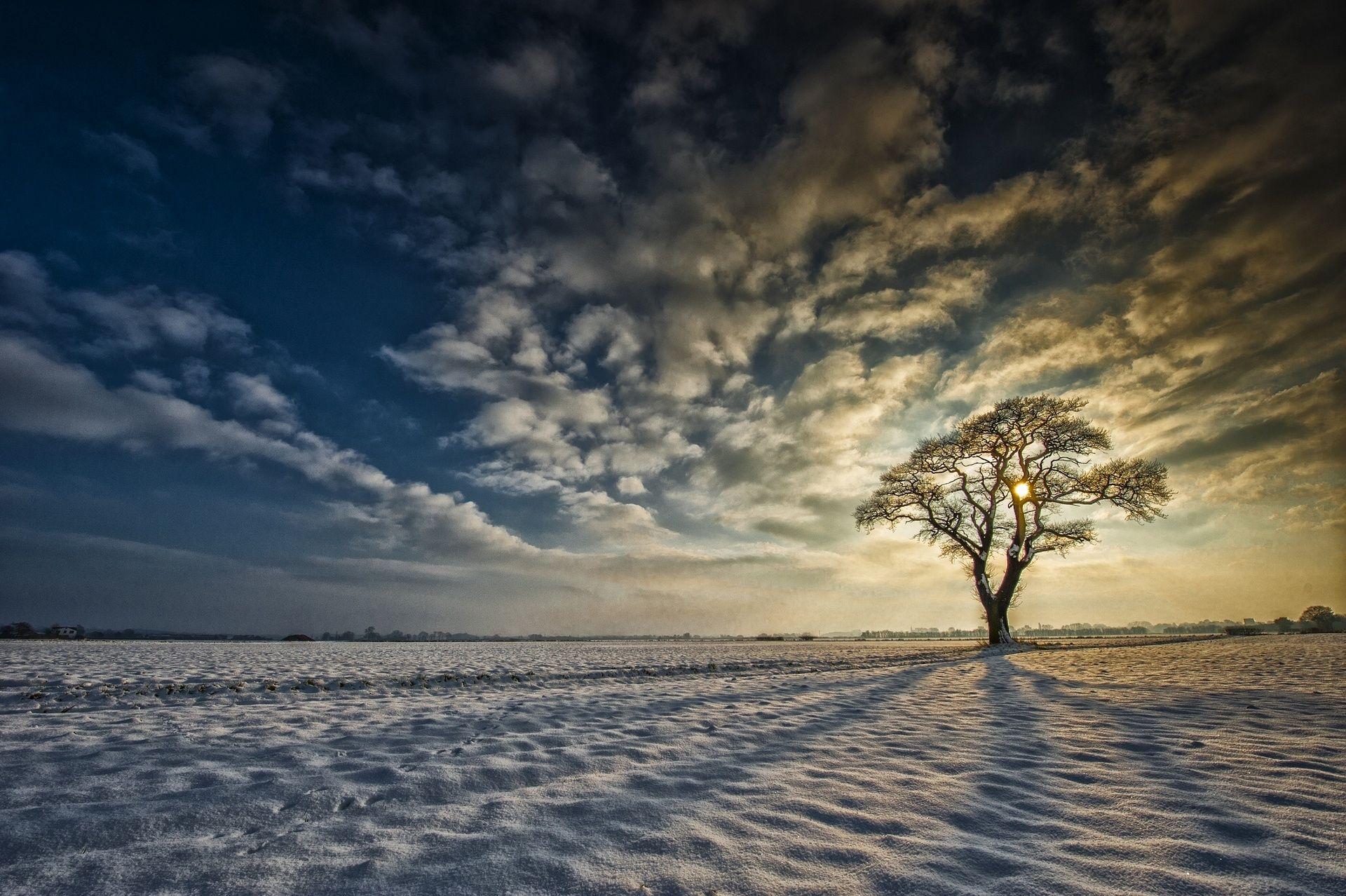 1920x1278 yorkshire, England, Snow, Tree, Sunrise, Clouds, Winter Wallpaper HD / Desktop and Mobile Background