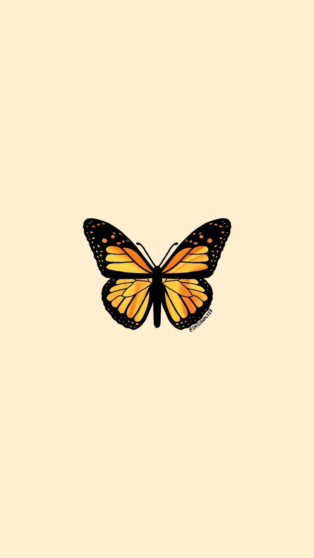 Hình con bướm màu vàng cam 1080x1920.  Hình nền bướm hình nền iphone, Hình nền con bướm, Hình nền iPhone màu vàng