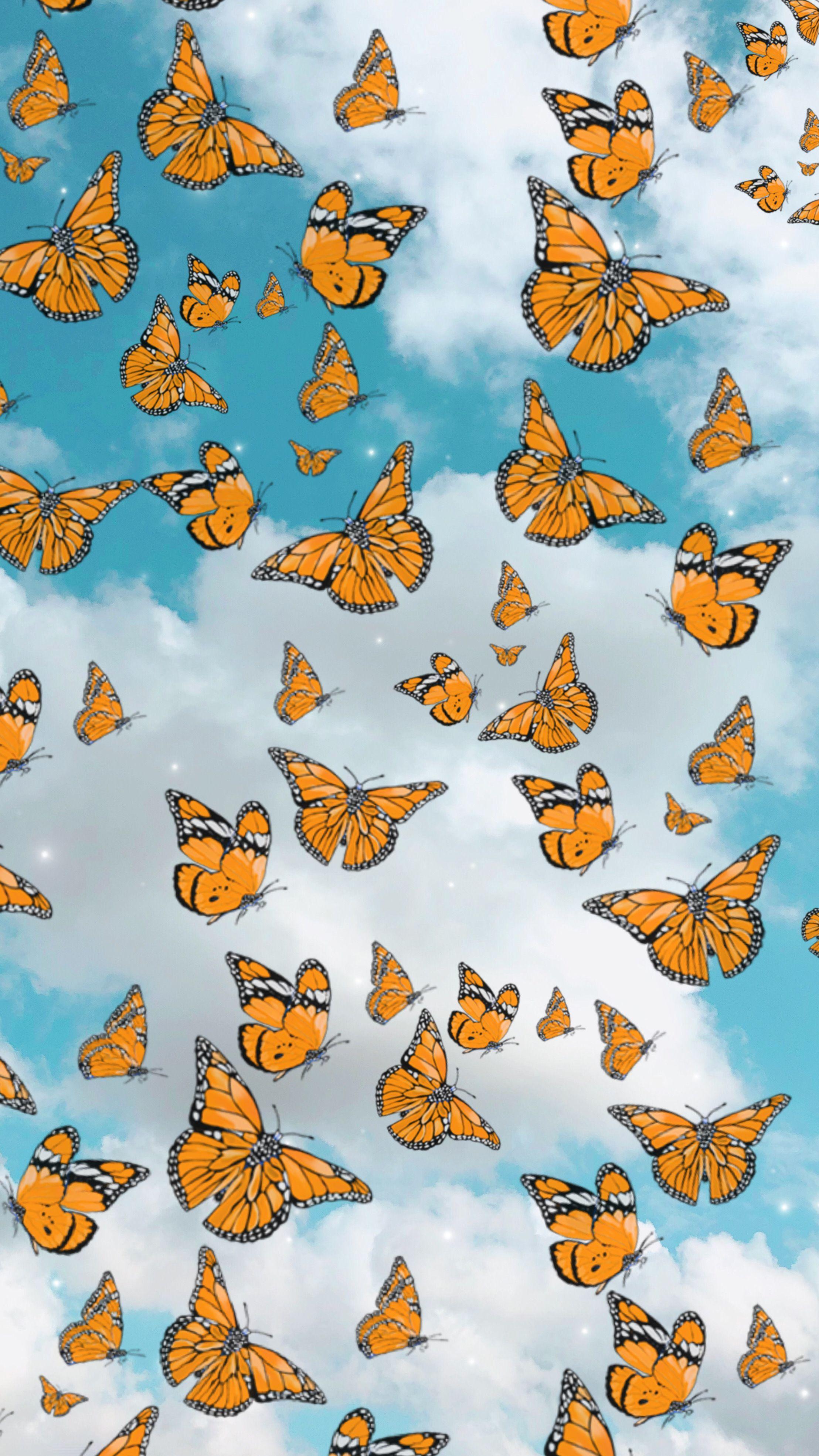 Aesthetic Orange Butterfly Wallpapers - Top Free Aesthetic Orange
