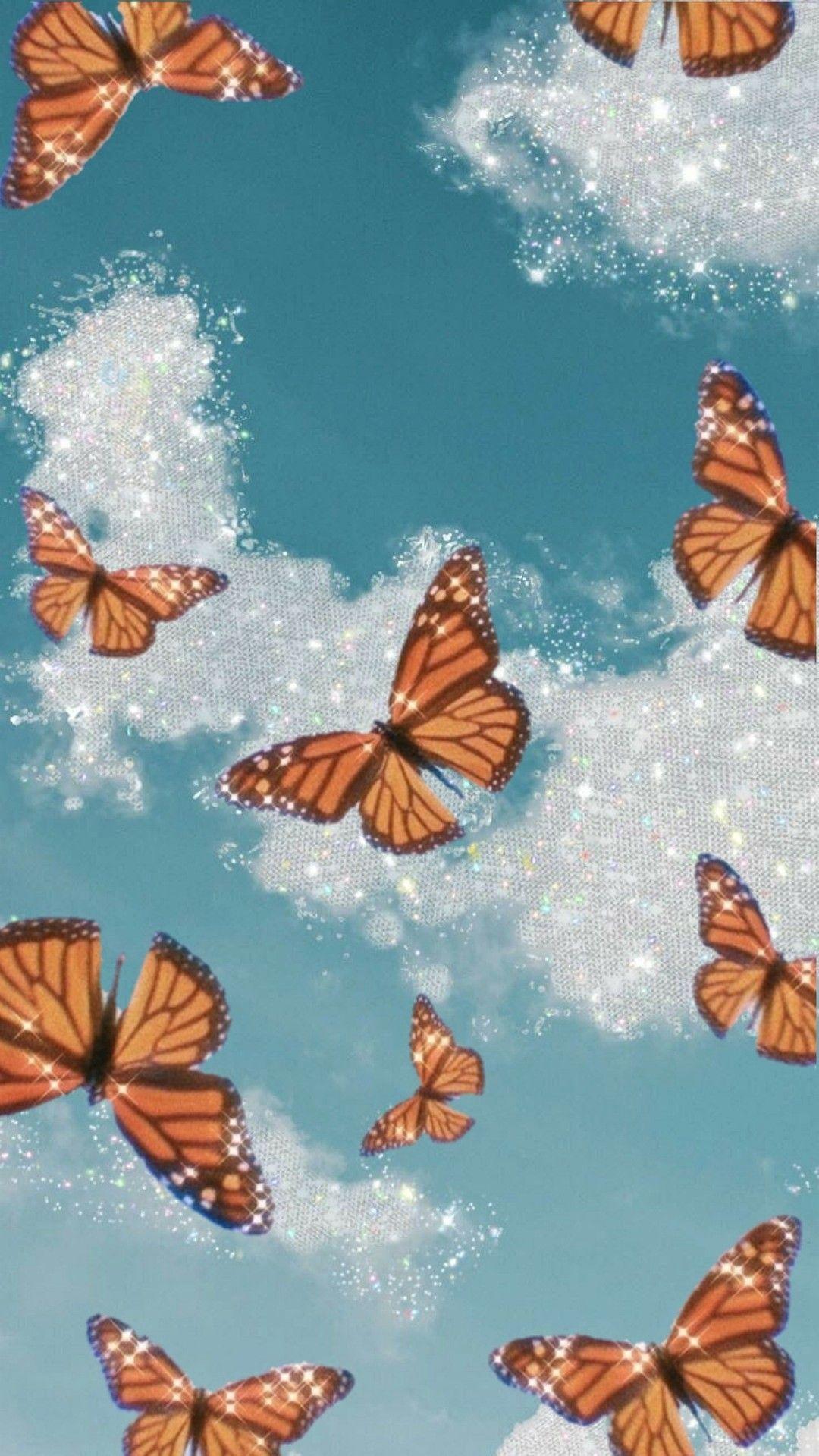 Aesthetic Orange Butterfly Wallpapers - Top Free Aesthetic Orange Butterfly Backgrounds