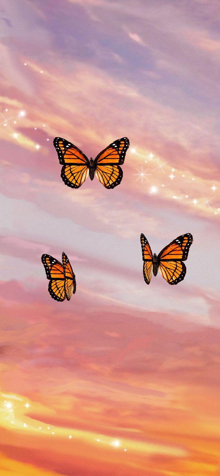 Aesthetic Orange Butterfly Wallpapers - Top Free Aesthetic Orange ...