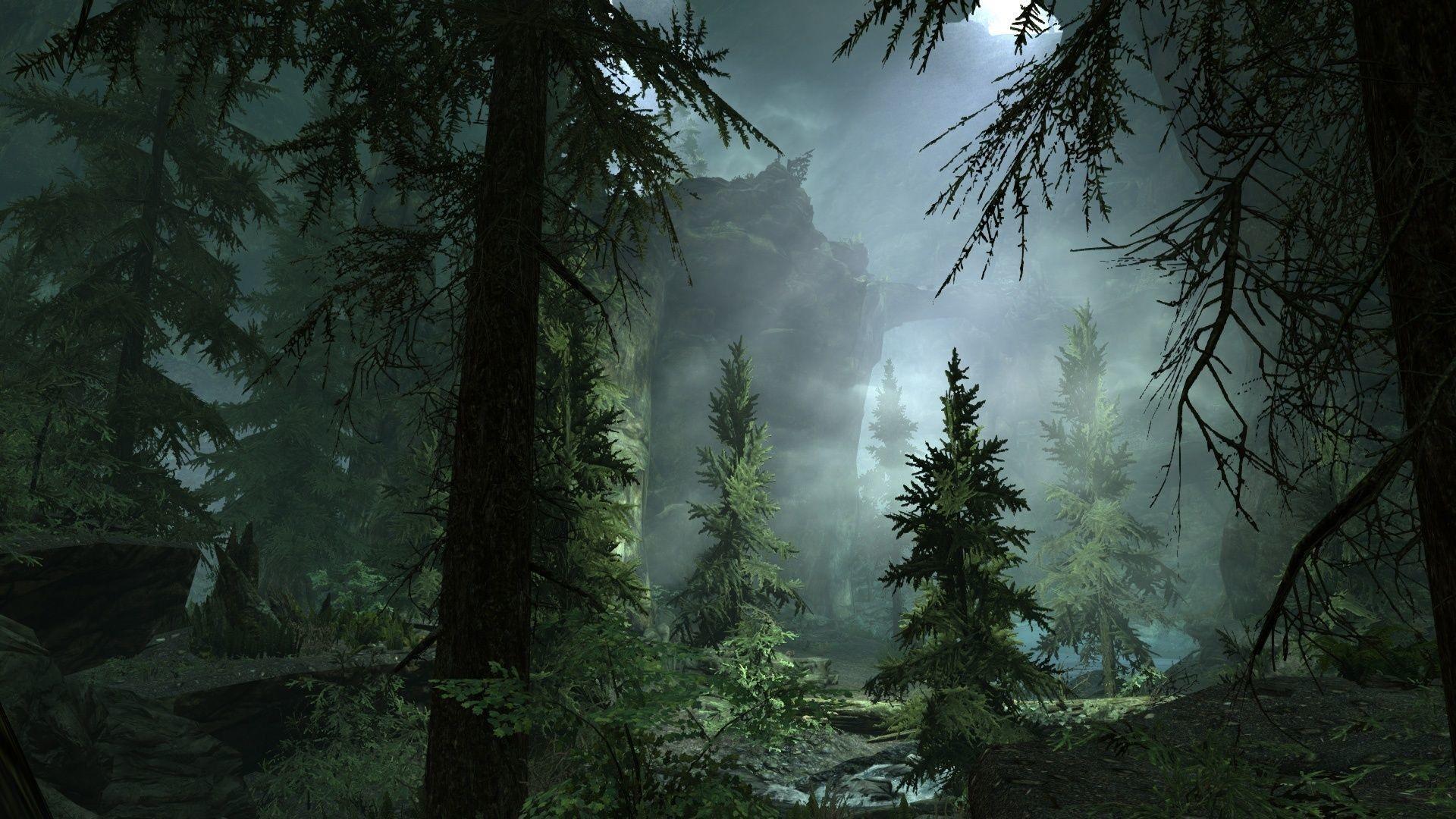1920x1080 1920x Foggy Forest Wallpaper High .