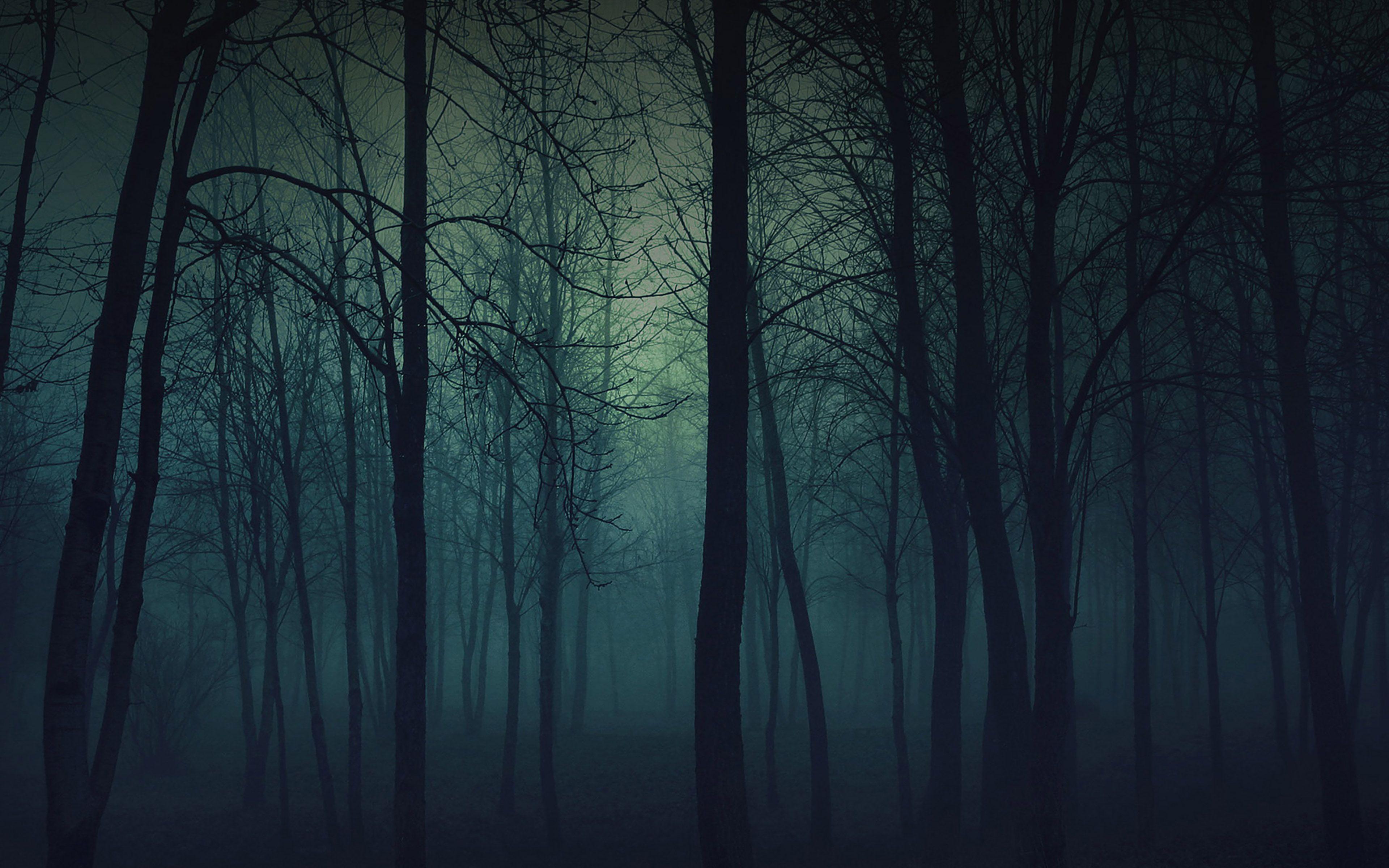 3840x2400 Wallpaper Foggy Forest Mountain .