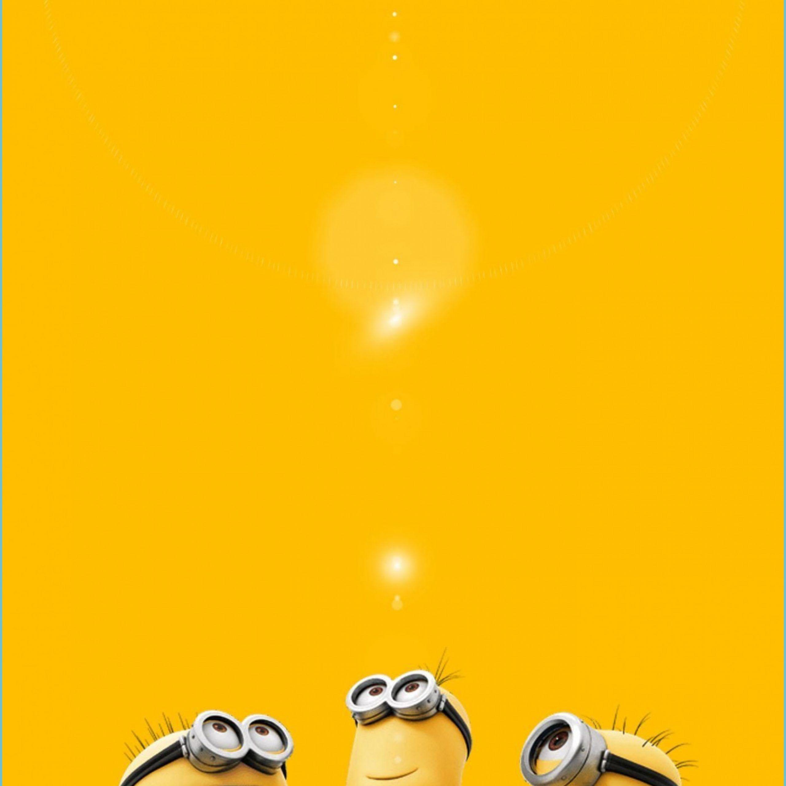 Adorable Minions Wallpapers Top Free Adorable Minions Backgrounds Wallpaperaccess 2404