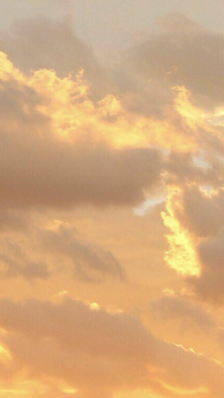 736x1309 Aesthetic Cupidaestheticcupid.